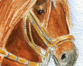 Vibrant watercolor horse dog cat pet portraits. Custom original watercolor paintings art