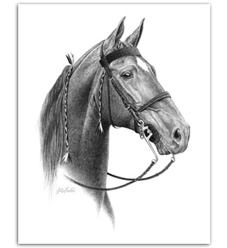 Tennessee Walker art show bridle horse portraits best gifts