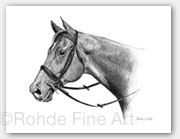 hunter jumper horse portraits art
