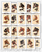 Famous racehorses art painting set gifts horse racing