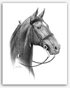 Tennessee Walker art show bridle horse portraits best gifts