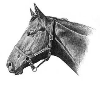Choose Rohde for exceptional quality horse art & more!