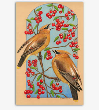 Original Cedar Waxwing bird art painting for sale