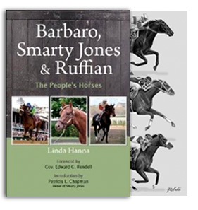 Horse book illustration artist