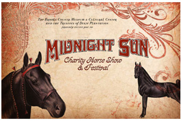 horse equine graphic design