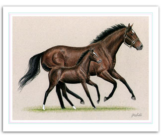 Zenyatta race horse art prints paintings