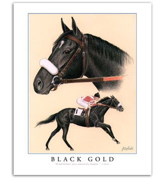 Black Gold horse art Kentucky Derby paintings for sale