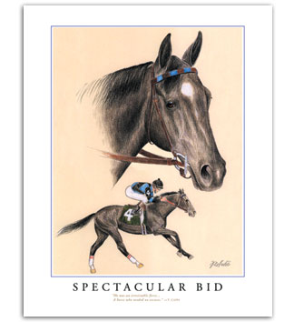 Spectacular Bid famous thoroughbred race horse art prints galleries