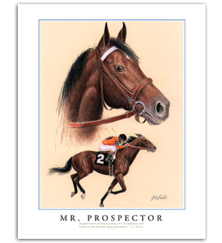 Mr. Prospector horse racing art paintings prints framed