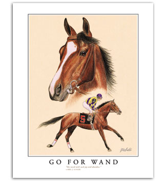 Go For Wand filly thoroughbred horse picture art print horseracing portrait