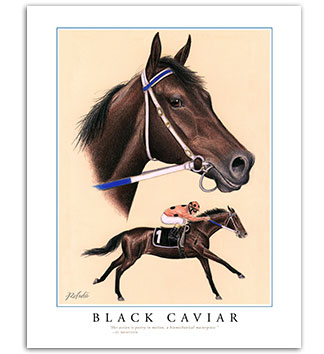 Black Caviar art painting print horse racing framed equine