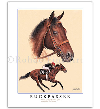 Buckpasser Thoroughbred horse racing art paintings prints gifts