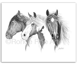 Vigilantes: wild horses BLM mustangs in graphite art by Rohde