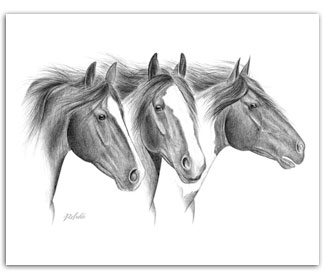 Free Spirits mustangs wild horses in art graphite