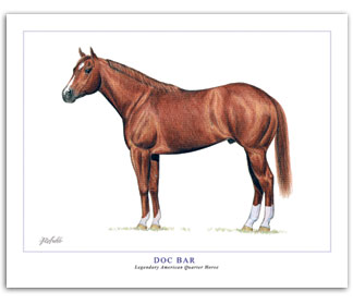 Doc Bar Quarter Horse art painting conformation