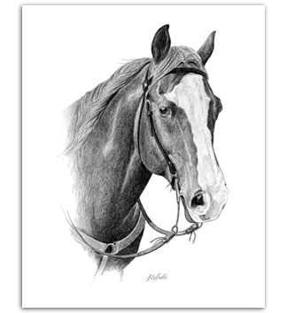American Quarter Horses western horse art Blaze