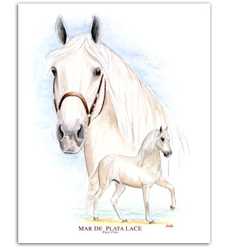 Mar de Plata LaCE Paso Fino horse art paintings prints