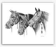 Arabian horses in native halters equine art Rohde drawing