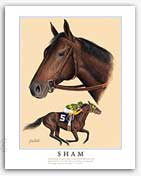 Sham thoroughbred horse racing art painting