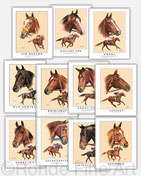 Triple Crown champions winners thoroughbred horse racing framed art prints gift items collectibles