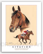 Citation Kentucky Derby Triple Crown thoroughbred horse art portrait