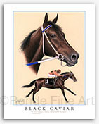 Black Caviar art painting print horse racing framed equine