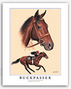 Buckpasser Thoroughbred horse racing art paintings prints gifts