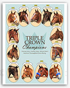 Triple Crown winners Justify horse racing art prints paintings