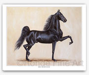 Rex McDonald - famous Saddlebred