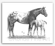 Appaloosa horse art prints horses drawings mare foal in Spring