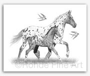 Appaloosa horses art prints fine art drawings in Summer