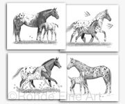 Appaloosa horses mares foals Four Seasons equine art Rohde