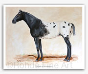 Chief of Fourmile Appaloosa horse art painting