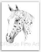Leopard Appaloosa horse art Heather Rohde fine art