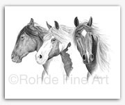 Vigilantes: wild horses BLM mustangs in graphite art by Rohde