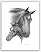 mare foal horse graphite art Rohde