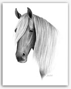Rocky Mountain Horse equine art print painting
