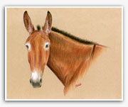 Dun buckskin mule art western paintings