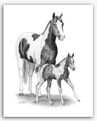 Paint Horse APHA mare foal pinto equine art