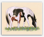 Paint Horse mare foal Texas horses wildflowers art