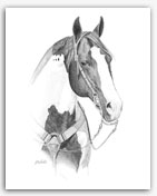 Paint Horse Portraits equine art