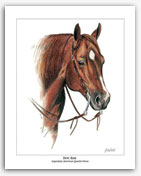Doc Bar western American Quarter Horse art AQHA Rohde