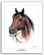 Poco Bueno Quarter Horse art painting AQHA