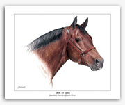 Doc O'Lena famous Quarter Horse art stallion Rohde