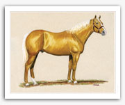 Cutter western palomino cutting horse art painting Quarter Horse