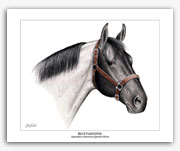 Blue Valentine AQHA Quarter Horse art prints pictures
