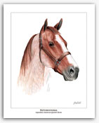 Peptoboonsmal AQHA quarter horse art pictures