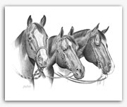 Western Quarter Horses portrait wall art
