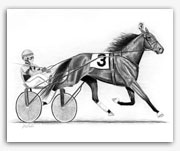 Standardbred trotting horse harness racing art prints