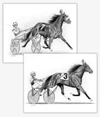 Standardbred horse harness racing art drawings